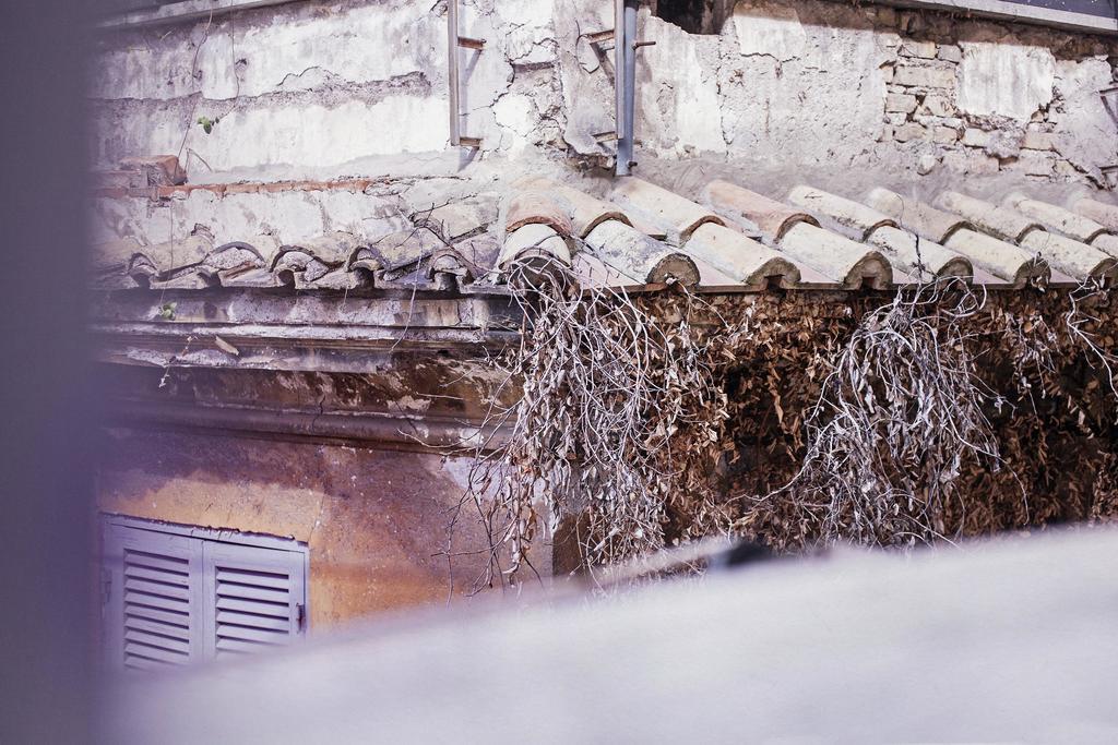 Trasteverehome - Peretti Řím Exteriér fotografie